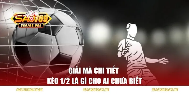 Giải mã chi tiết kèo 1/2 là gì cho ai chưa biết