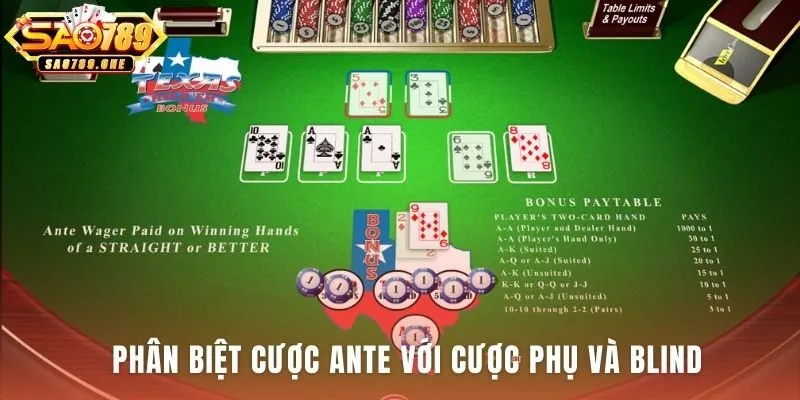 Phân biệt Casino Holdem Ante qua bản chất và mục đích cược